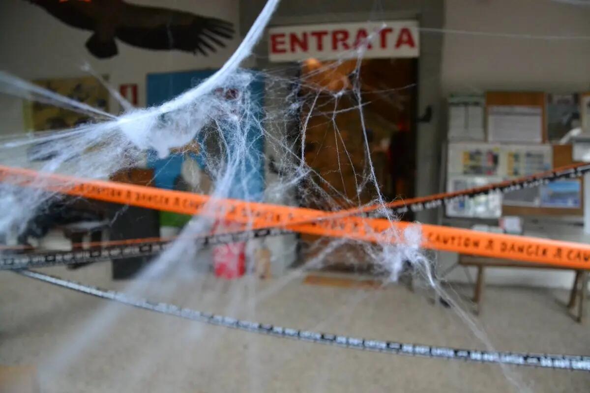 Halloween da brivido alla riserva naturale del Lago di Cornino: torna l'avventuroso pomeriggio per bambini coraggiosi - 