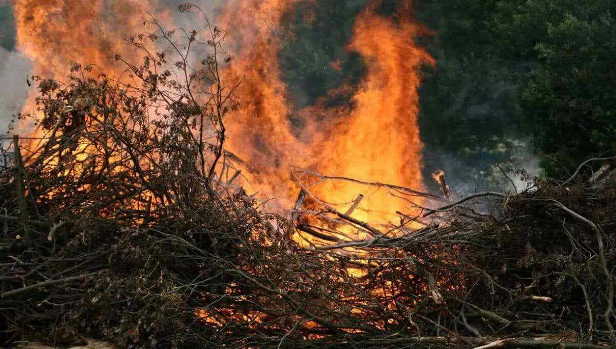 Appicca il fuoco alle sterpaglie, ritorno di fiamma con benzina: ustionata una donna - 