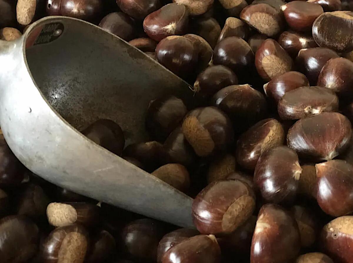 Gran finale festa delle castagne e del miele di castagno a Valle di Soffumbergo - 