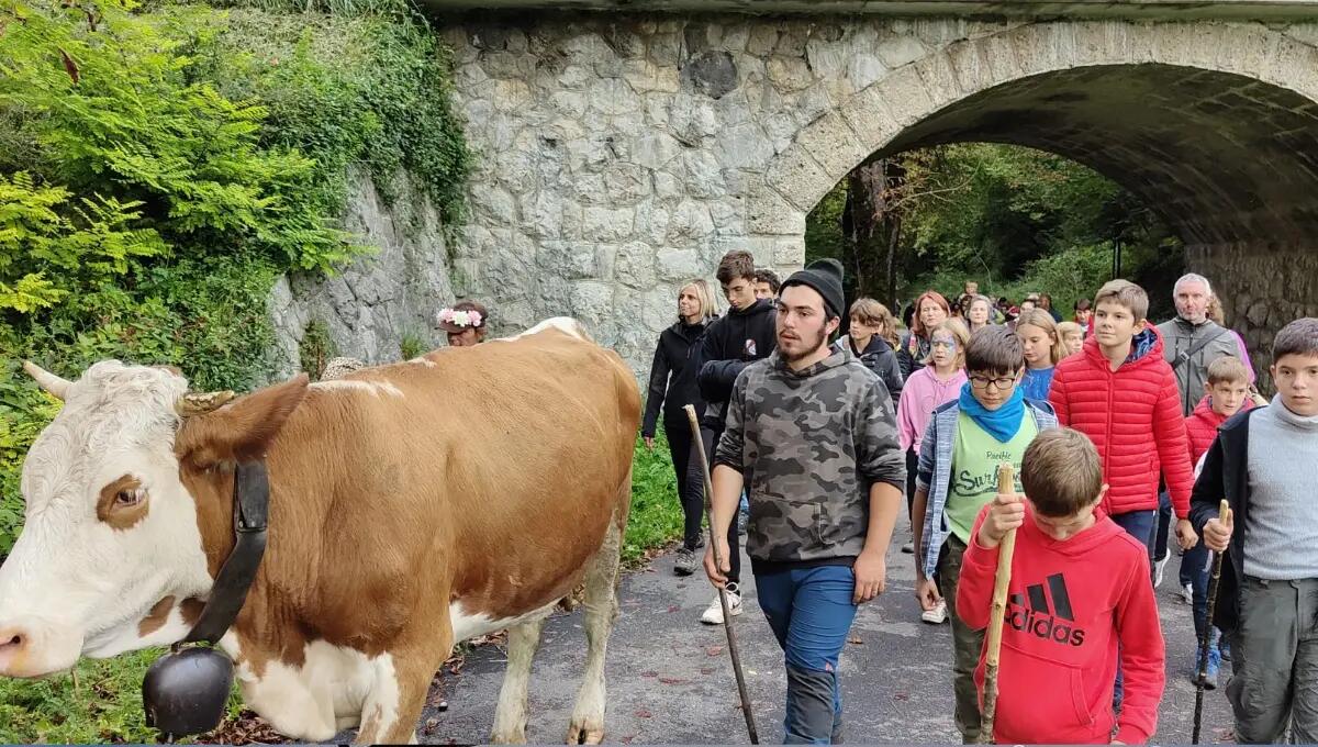 La festa della transumanza ad Ampezzo: quasi 500 i turisti accorsi da tutta la regione - 