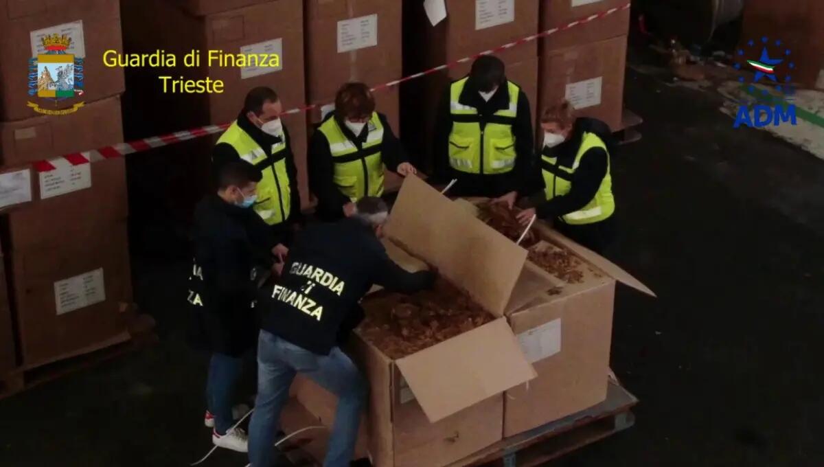 Maxi sequestro al Porto di Trieste: 730 kg di cocaina occultati in un container - 