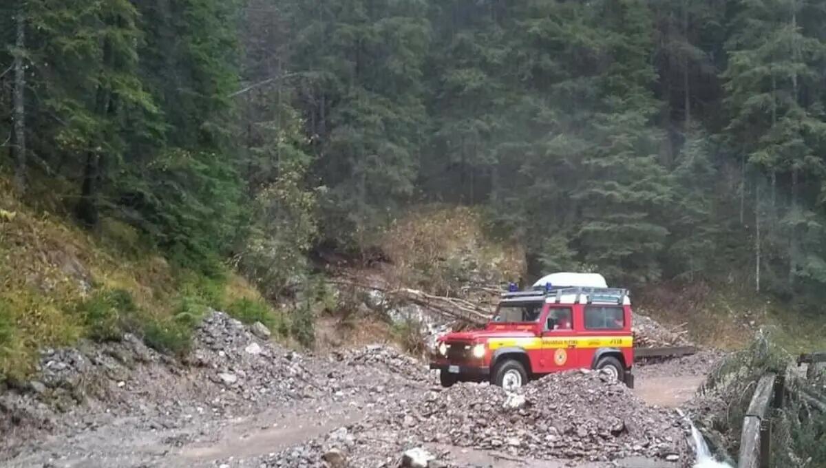 Cade mentre cerca funghi a Sappada: 51enne di Jesolo si rompe una gamba - 