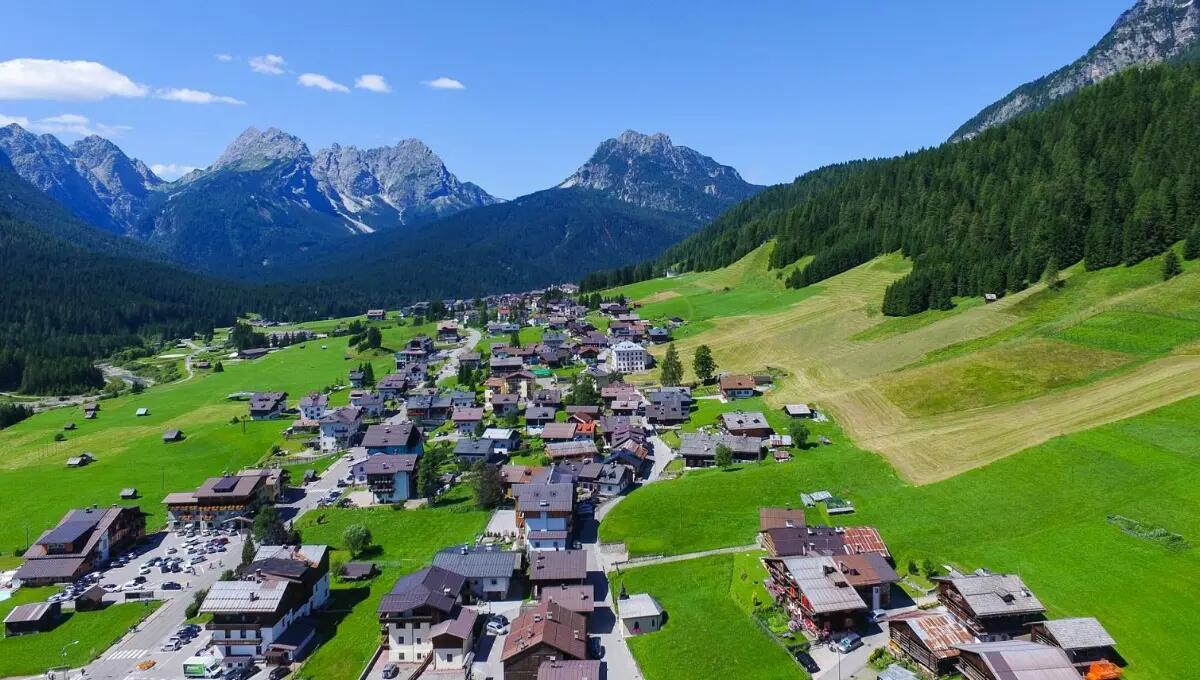 Punta da un insetto a Sappada: donna in shock anafilattico - 