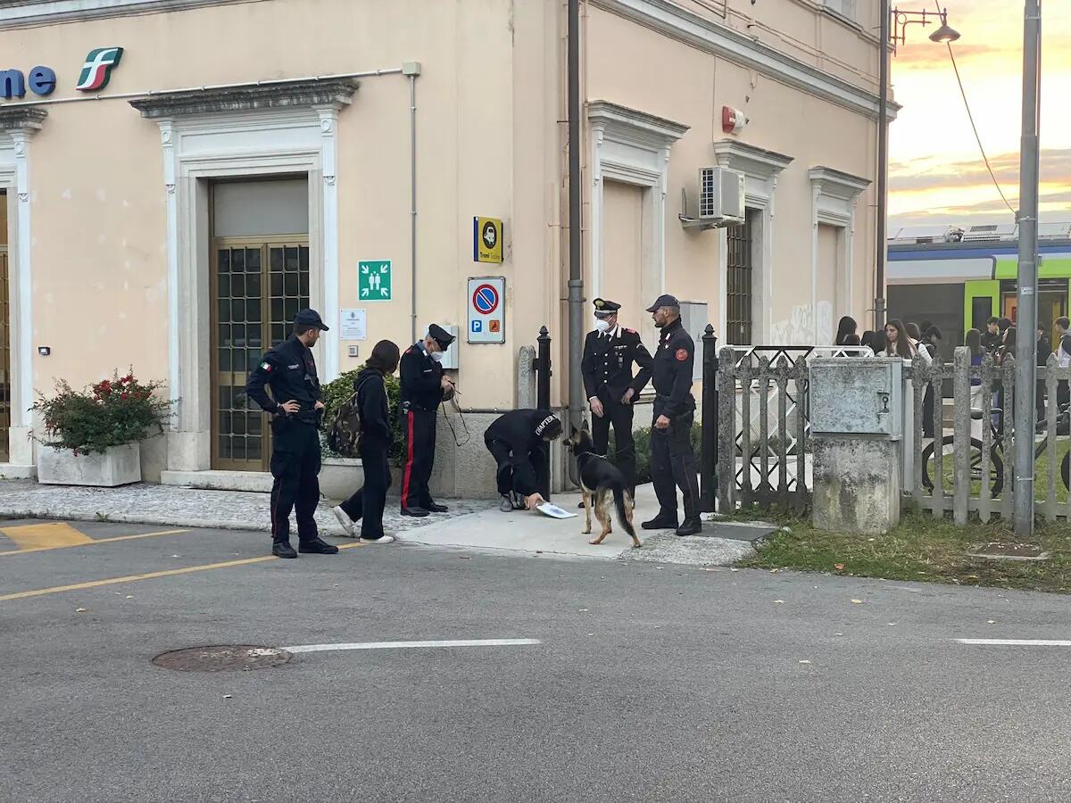 Maxi controlli dei Carabinieri di Sacile: arresti per furto, denunce e sanzioni  - 