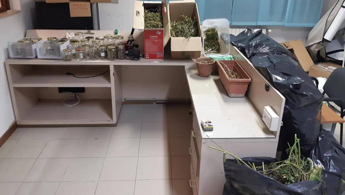 In casa nascondeva droga e una serra dove coltivava la marijuana: arrestato - 