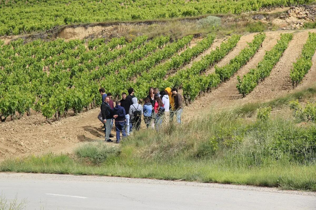 Viticoltura ed enologia, Ateneo di Udine in festa per i trent’anni di formazione - 