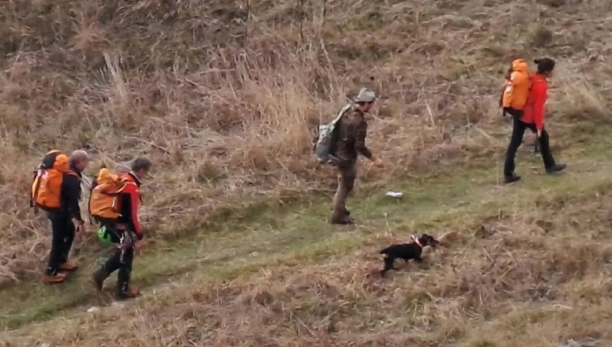 Recuperata Birba, cagnetta da caccia bloccata su una cengia - 