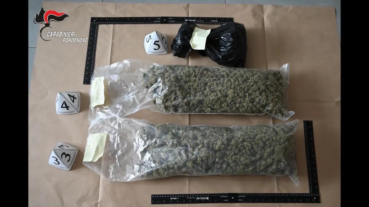 Arresti e perquisizioni per droga nel pordenonese - 