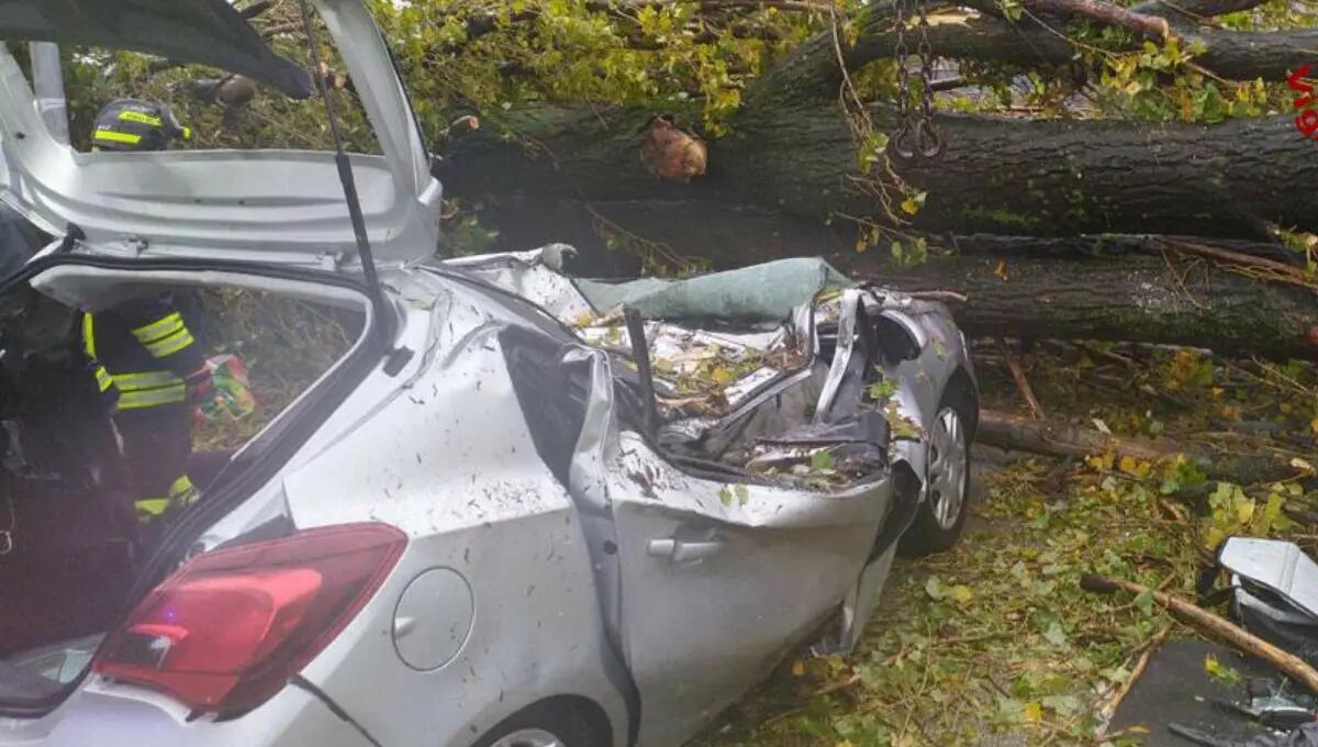 Albero cade su un'auto: grave un 27enne | LE FOTO - 
