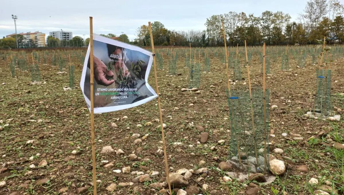 Un nuovo bosco urbano da oltre 3mila piante nella periferia est di Udine - 