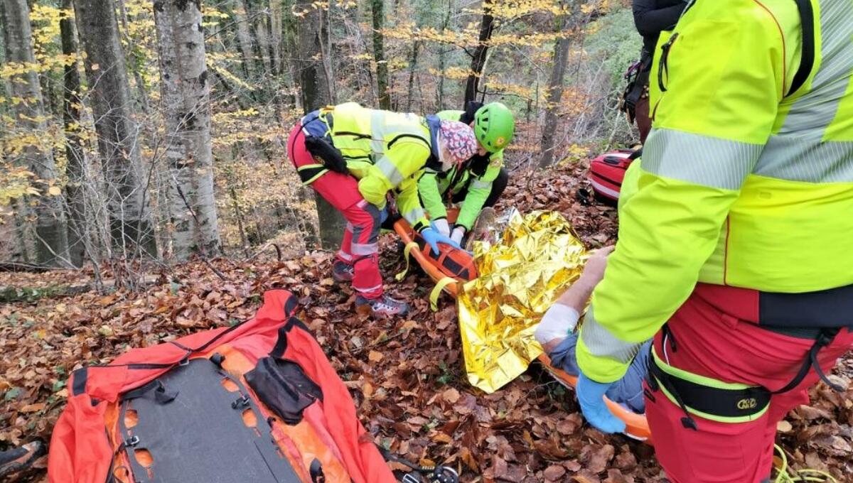 Boscaiolo travolto da una pianta a Vito d'Asio: elitrasportato all'ospedale - 