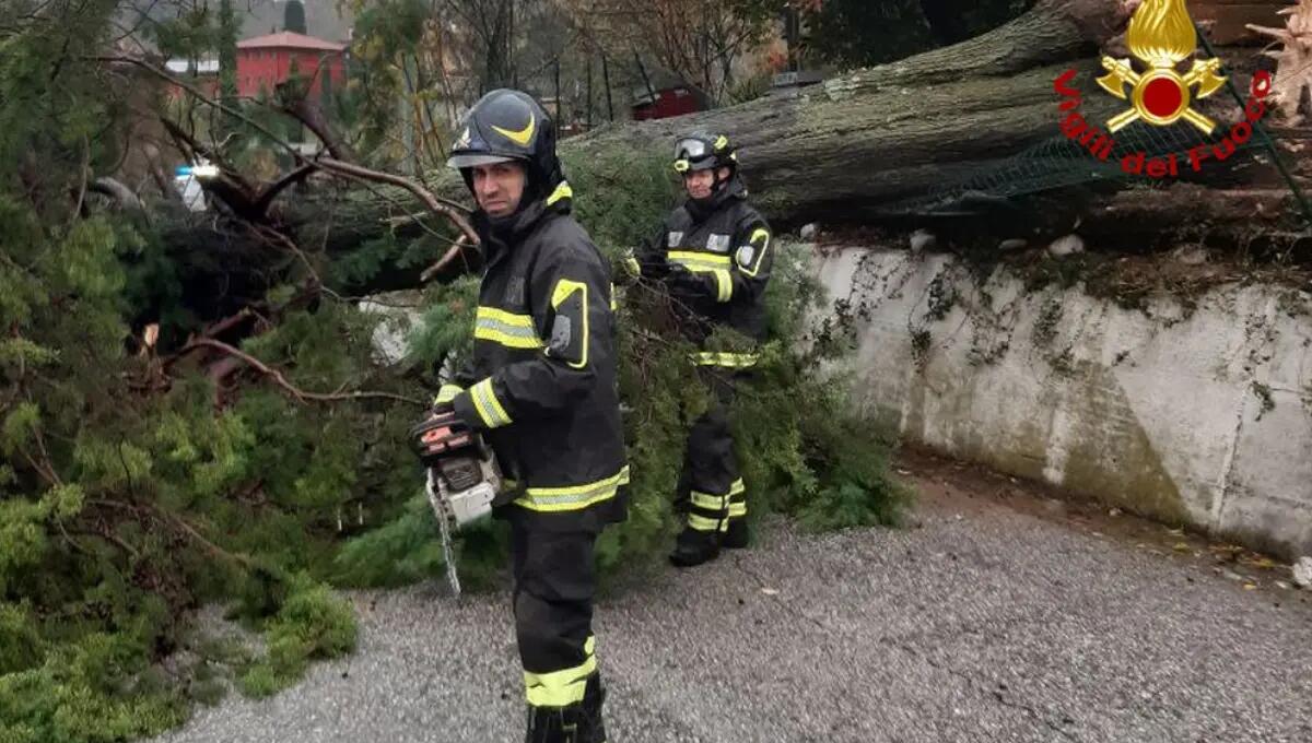 Il maltempo flagella il Friuli Venezia Giulia: 150 le richieste di soccorso ai pompieri - 
