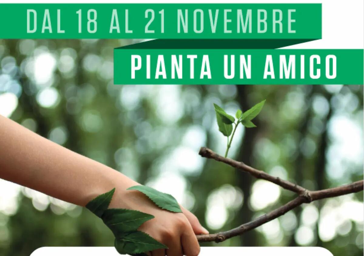 Festa dell'Albero a Staranzano con Elisa il 19 novembre - 