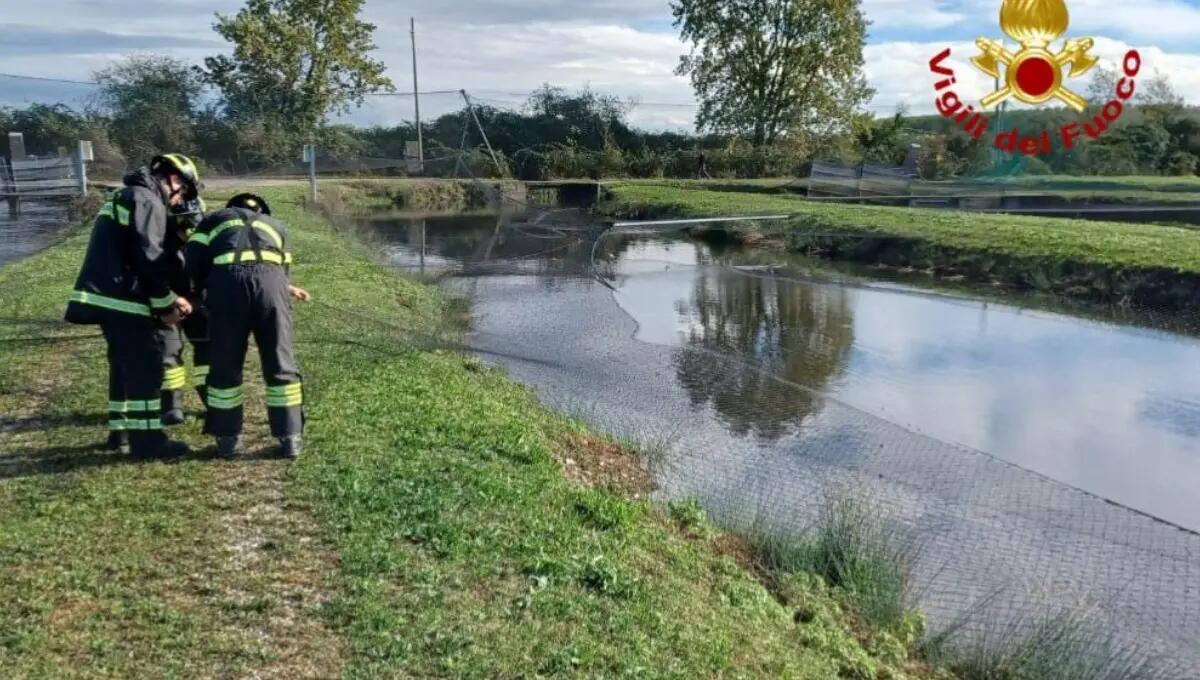 Le reti finiscono nell'acqua per il forte vento: morti numerosi pesci - 