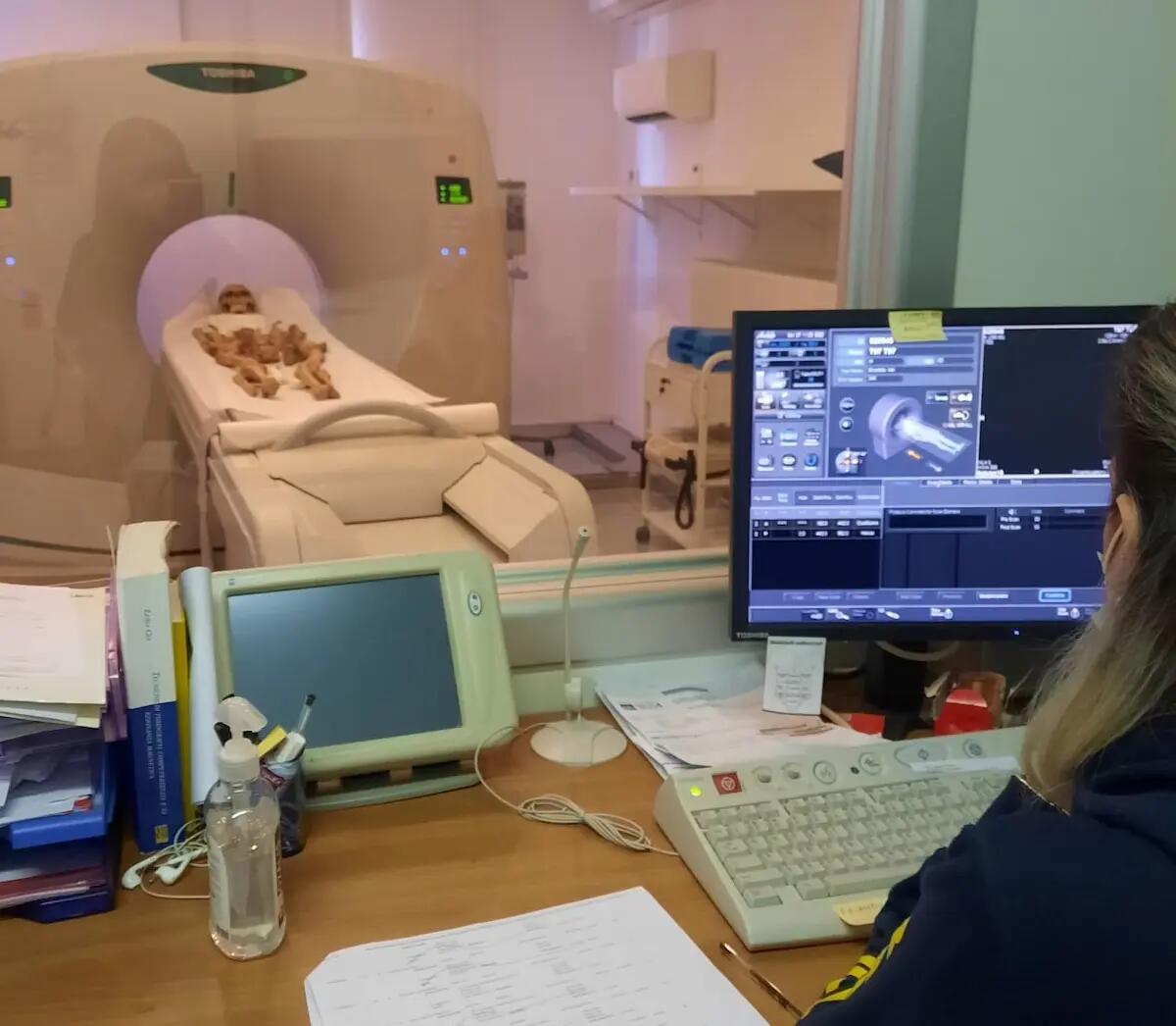 Ca’ Foscari indaga l’antica comunità di Jesolo: si studiano 115 tombe tra VIII e XII secolo - 