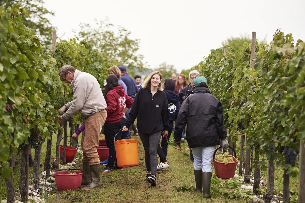 Confagricoltura Fvg: bene il ritorno dei voucher - 