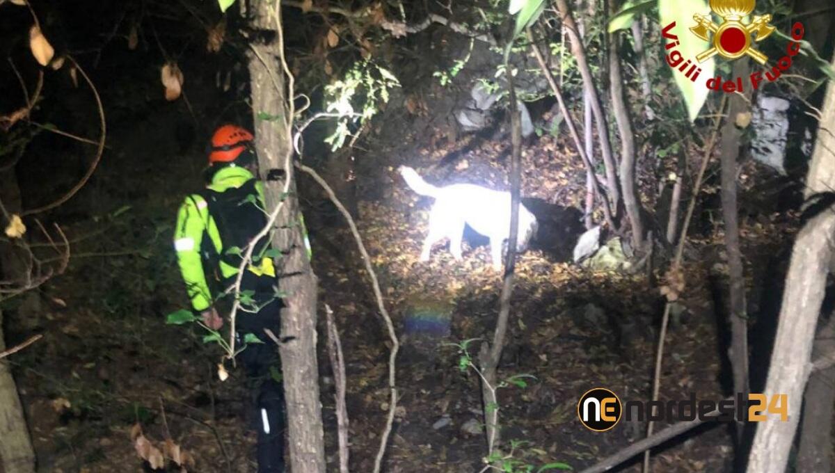 Duino, avviate le ricerche per trovare una 40enne scomparsa - 