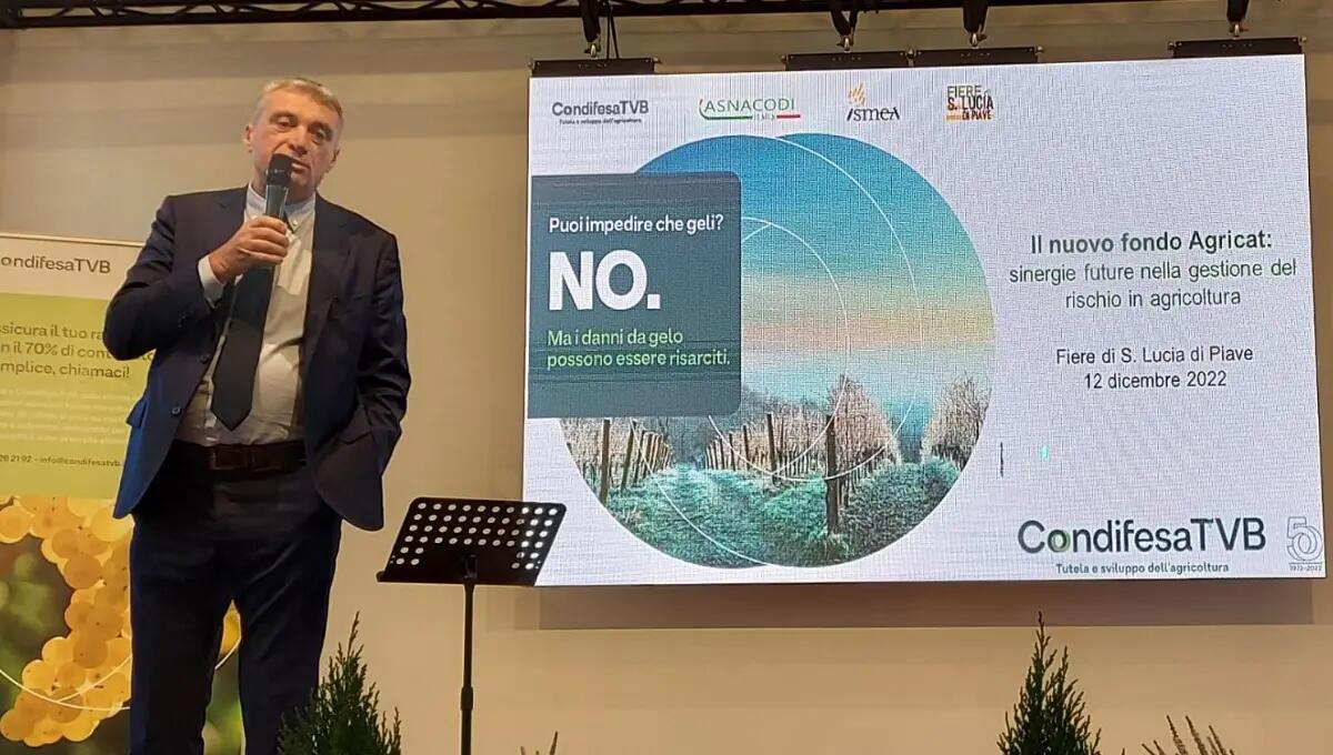 Conegliano, 16^ edizione della consegna Borse di Studio Ist. Cerletti promosse da Condifesa TVB - 