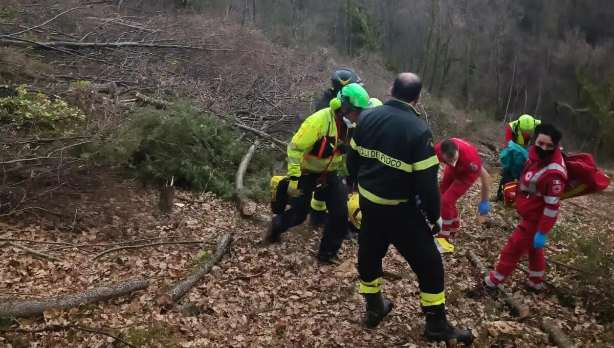 Budoia, si ferisce gravemente con la motosega: soccorso 76enne - 
