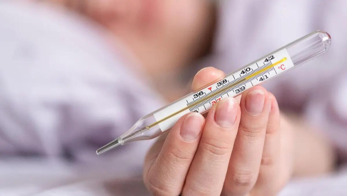 Nel Veneto orientale l'influenza in anticipo di un mese: 1000 i bimbi a letto - 