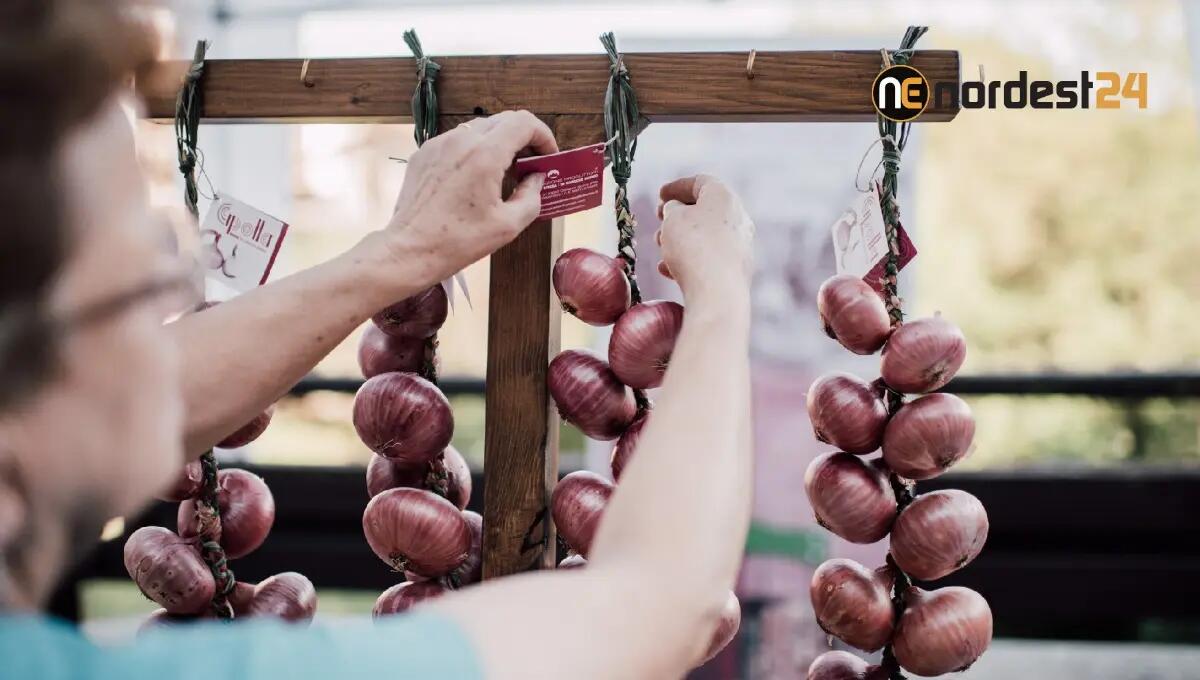 'Cipolla Rossa' di Cavasso Nuovo: anno top per i produttori - 