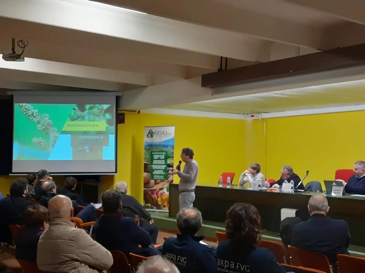 Friuli Colli Orientali e Ramandolo presentano "Le stagioni e le uve" - 