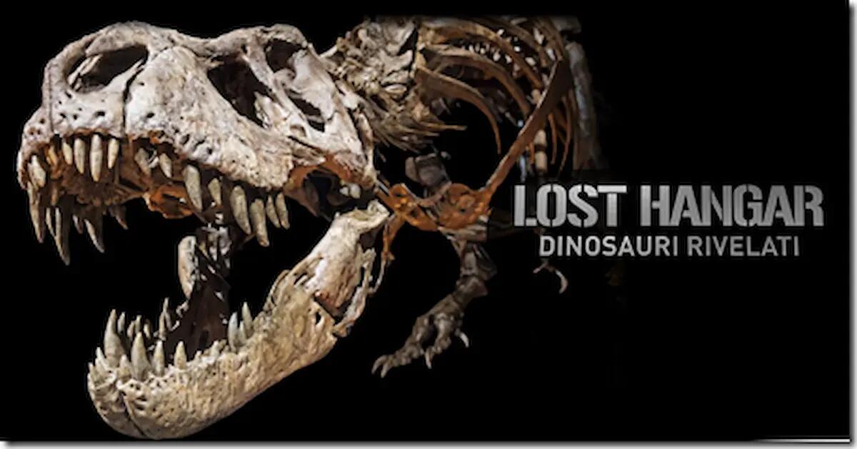 Rubati due artigli fossili di oltre 100 milioni di anni alla mostra paleontologica di Padova - 