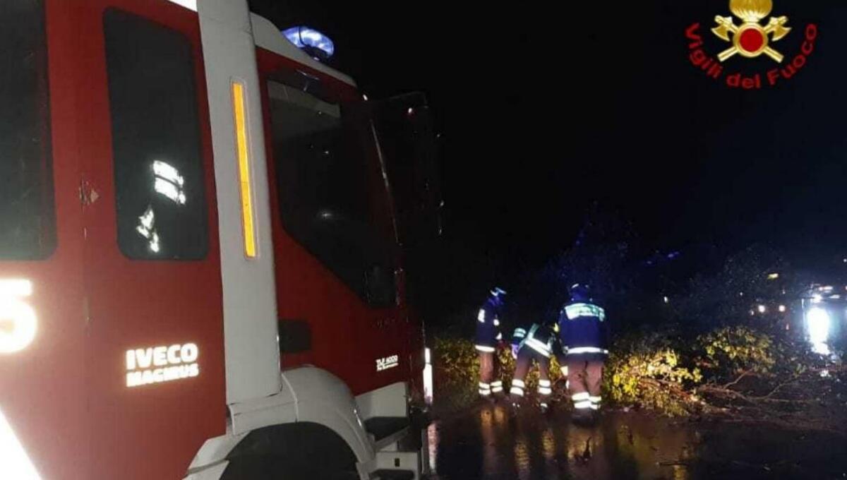 Raffiche di vento, decine gli interventi dei vigili del fuoco a Trieste - 