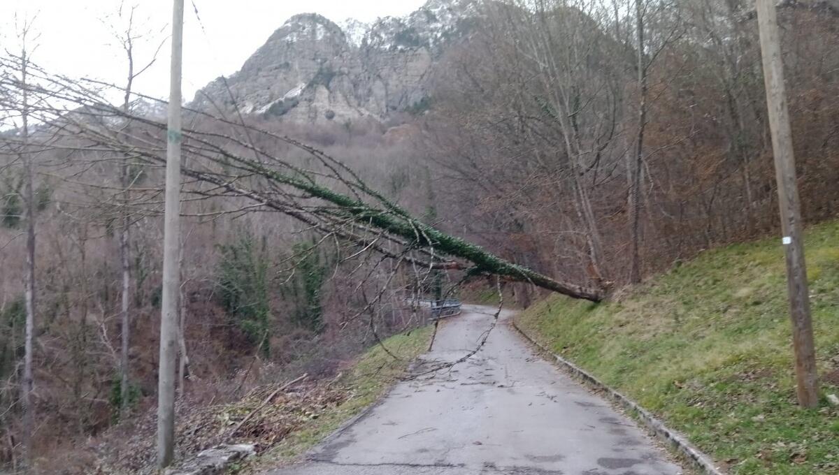 Frisanco, caduta di alberi e rami lungo la viabilità: intervento della protezione civile - 