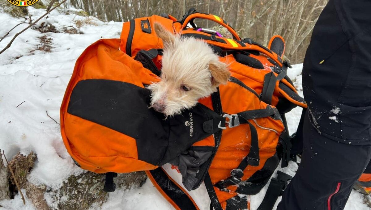 Bloccati nella neve dopo essersi persi nel bosco: soccorsa coppia di 60enni - 