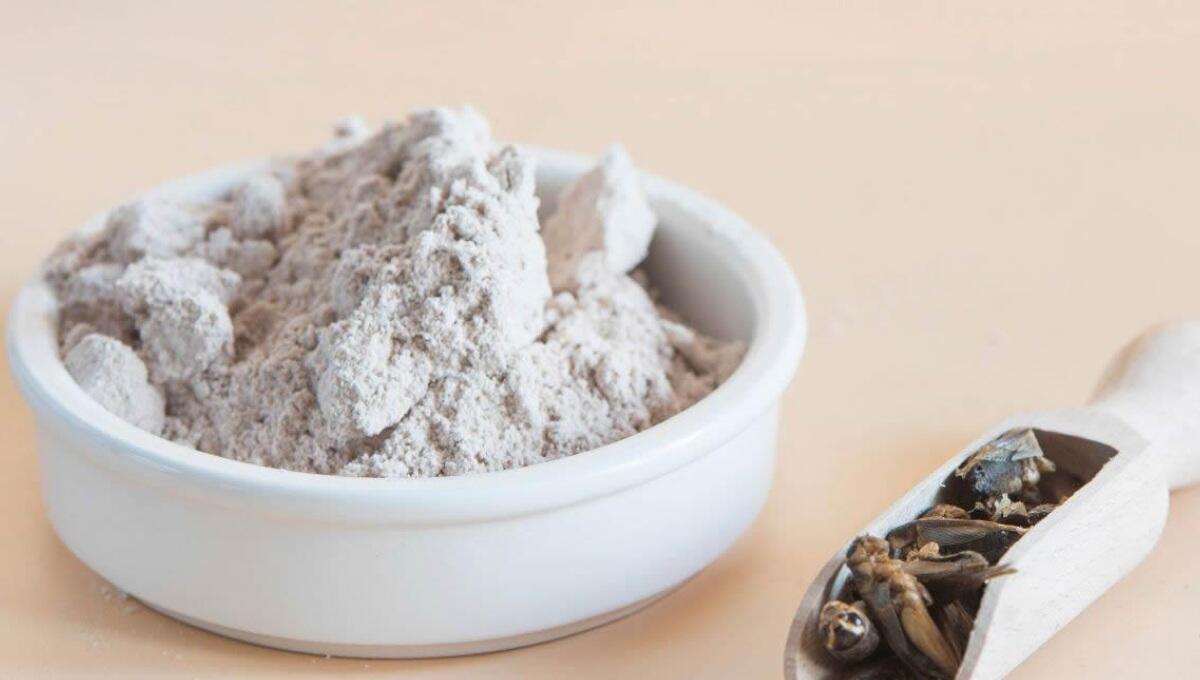 La farina di grillo diventa un ingrediente utilizzabile in Europa - 