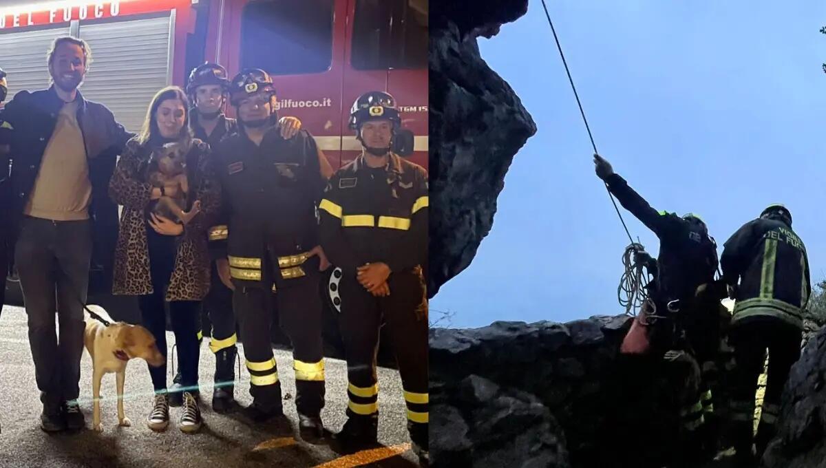 Cade per 15 metri dal sentiero Rilke e rimane bloccato: cagnolino salvato dai pompieri - 