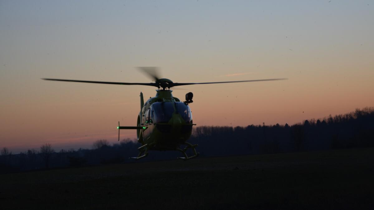 Sale sull'albero con la scala a pioli, ma cade da 3 metri: grave 60enne - 