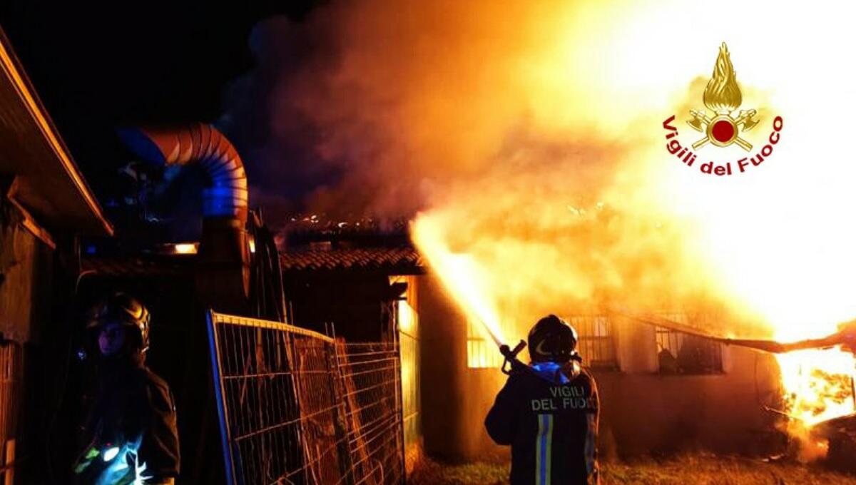 Violento incendio a Campolongo Maggiore divora un capannone e le attrezzature - 