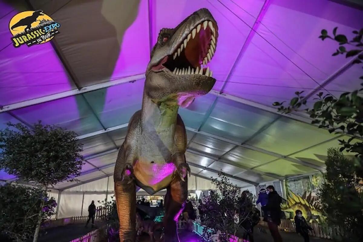 A Trieste grande avventura preistorica con “Jurassic Expo in Tour” - 