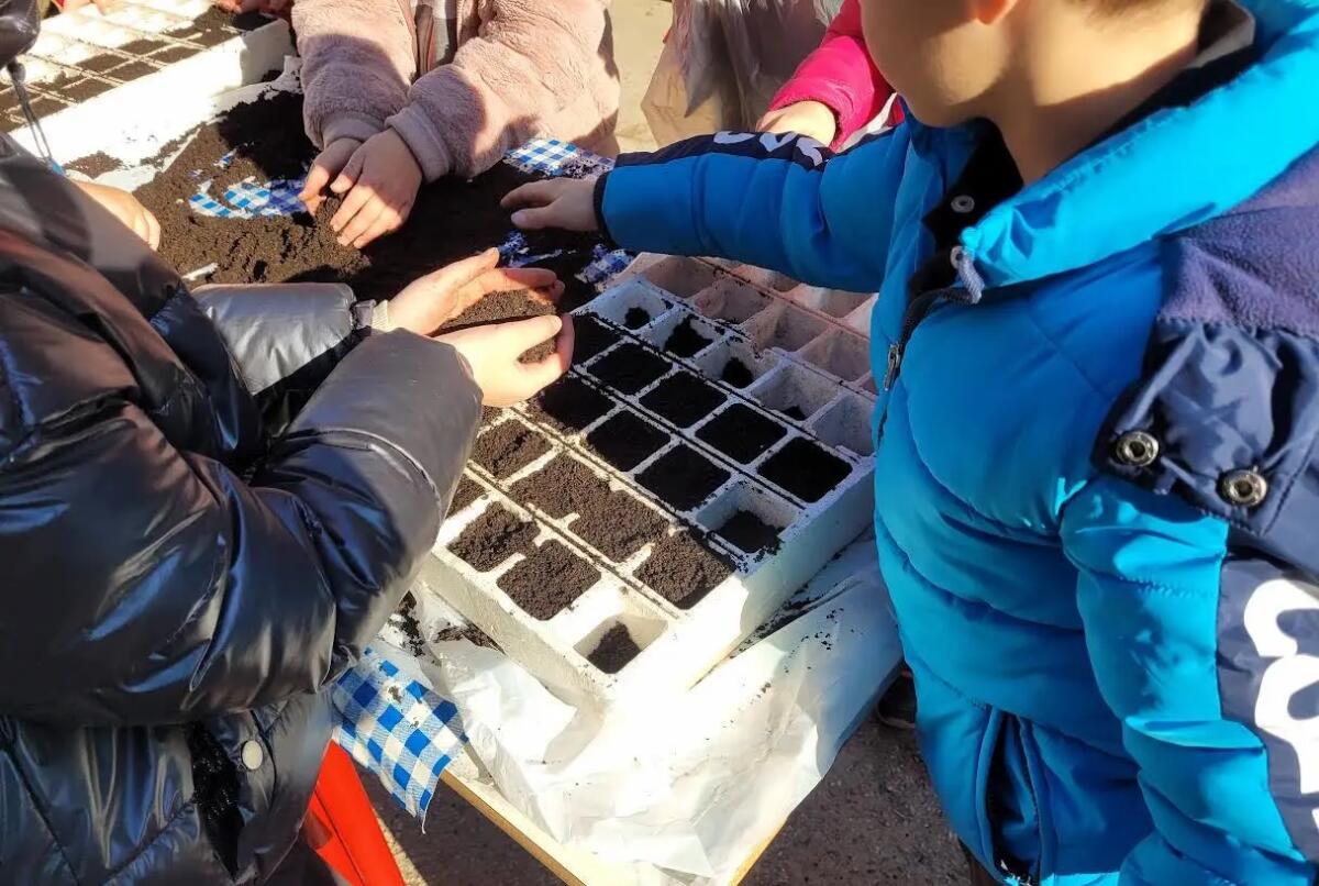 "Orto in condotta" l'attività nelle scuole coordinata dagli utenti e dagli operatori del Ceod - 