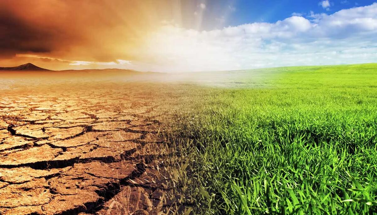 Il cambiamento climatico: una sfida globale da affrontare - 