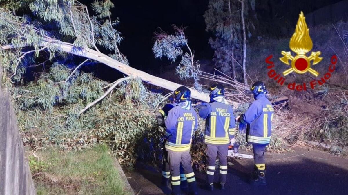 Forti raffiche di vento, alberi a terra e oggetti lungo la viabilità - 