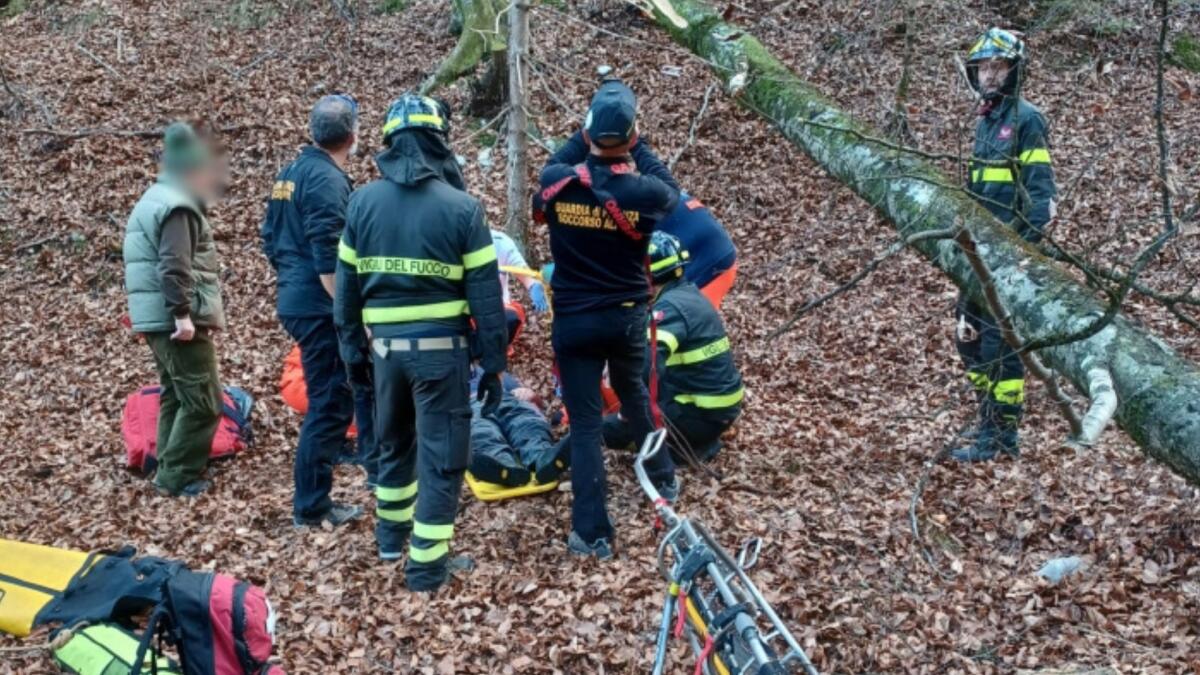 Travolto da un albero nei boschi di Assais a Verzegnis: grave un 61enne - 
