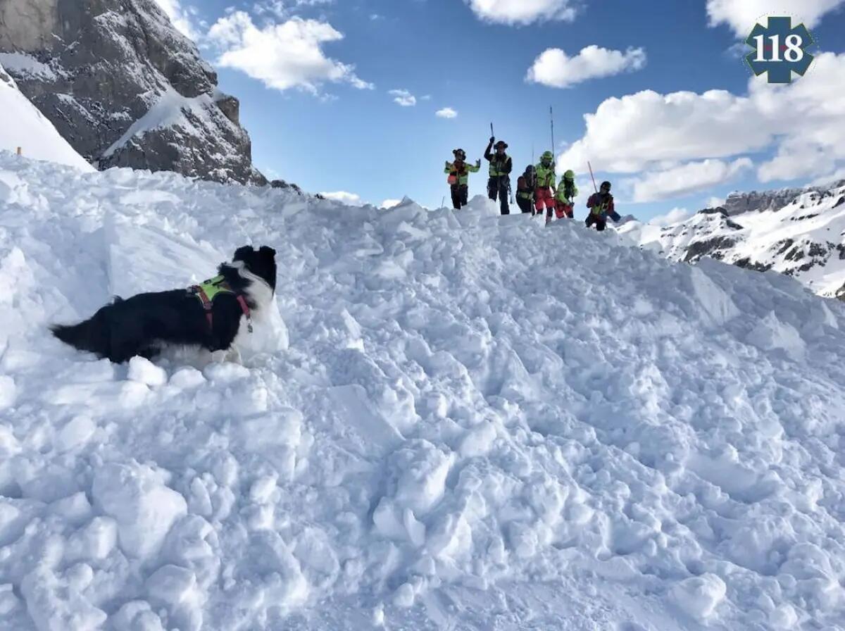 Travolta da una valanga: una persona salvata dalle unità cinofile sul Cristallo - 