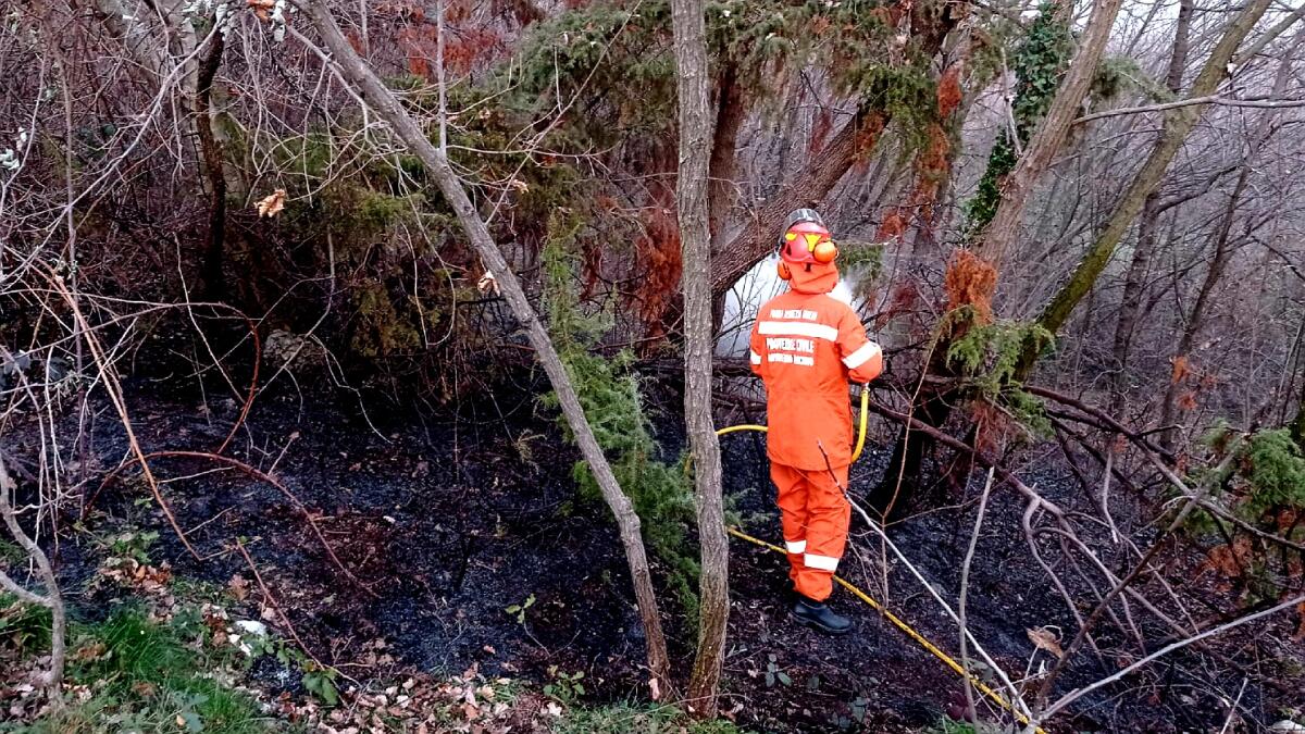 Nuovo incendio boschivo a Piancavallo: intervento in atto - 