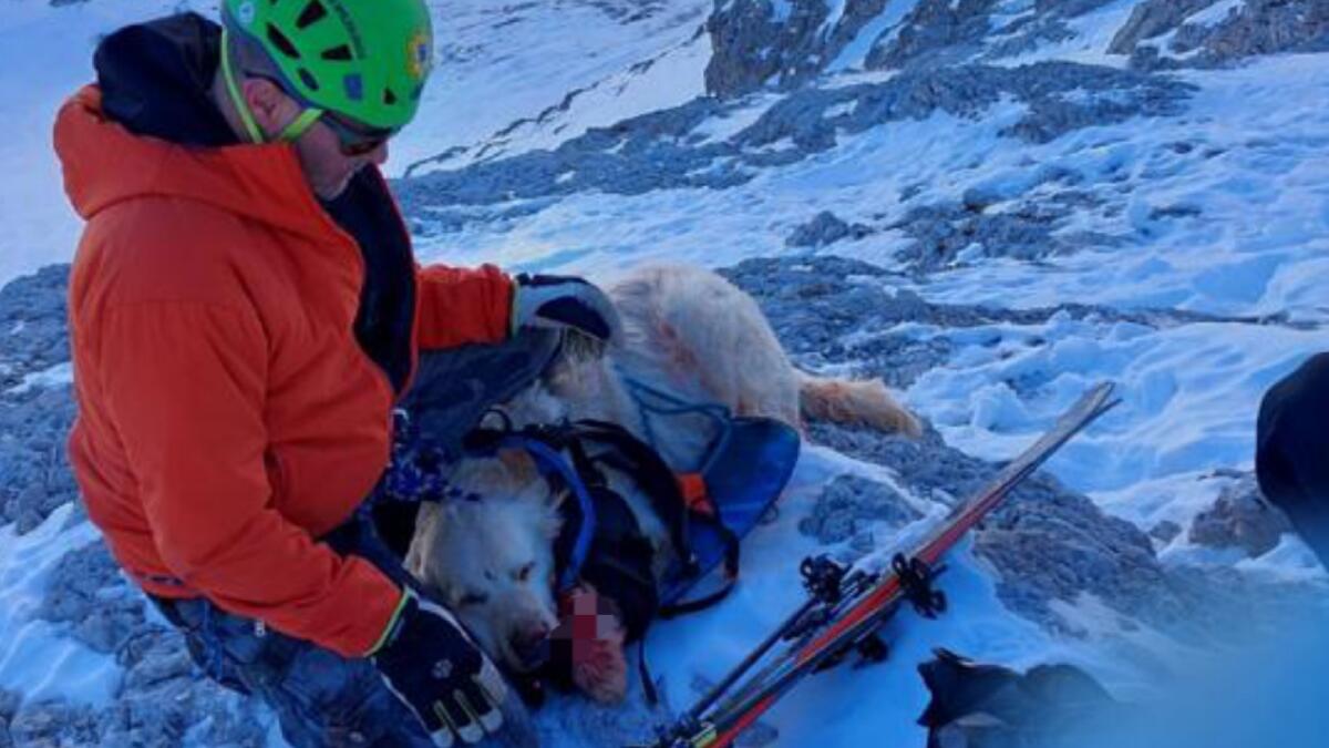 Cortina, ruzzola per 500 metri: Lucky salvato dal Soccorso alpino - 