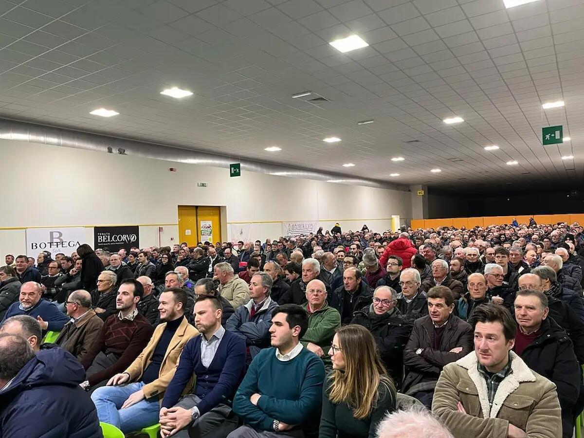 Sostenibilità economica, ambientale e sociale, lotta alla flavescenza dorata - 