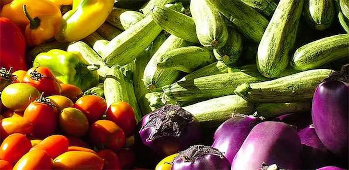 Cibo sano e sostenibile per tutti: un evento a Udine sull’alimentazione del futuro - 