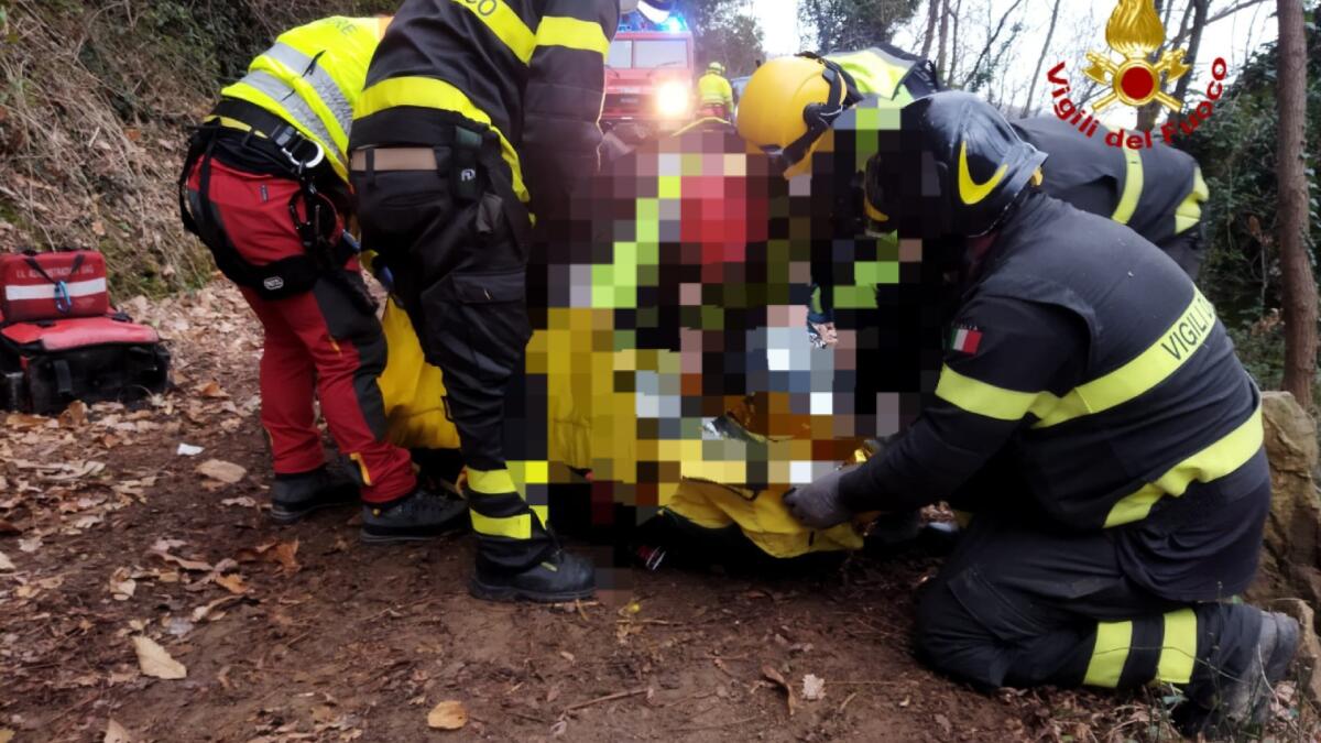 Malore sotto gli occhi del figlio mentre taglia la legna: 57enne morto sul colpo - 