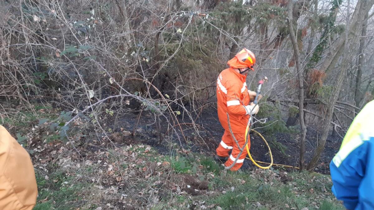 Caneva, incendio boschivo in località Col San Martino: rogo prontamente domato - 