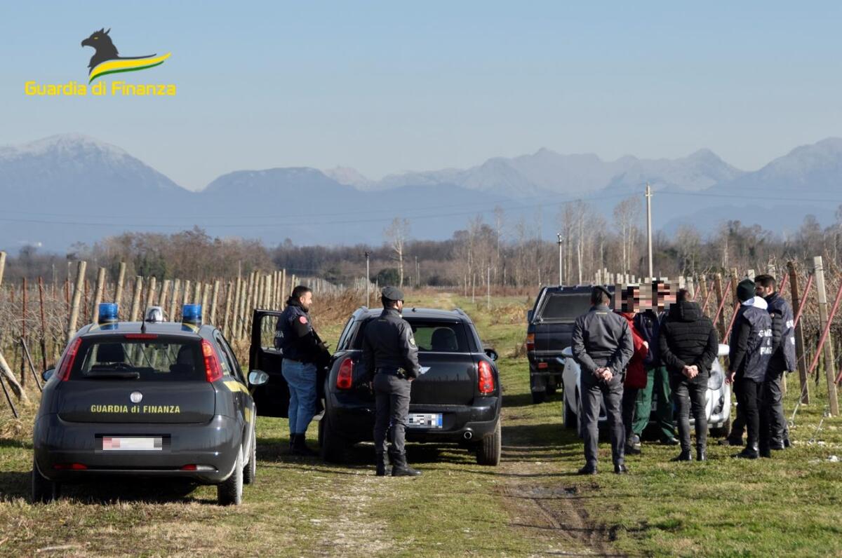 Lavoro nero nelle campagne di Vivaro: denunciato un imprenditore e sospesa la sua attività -