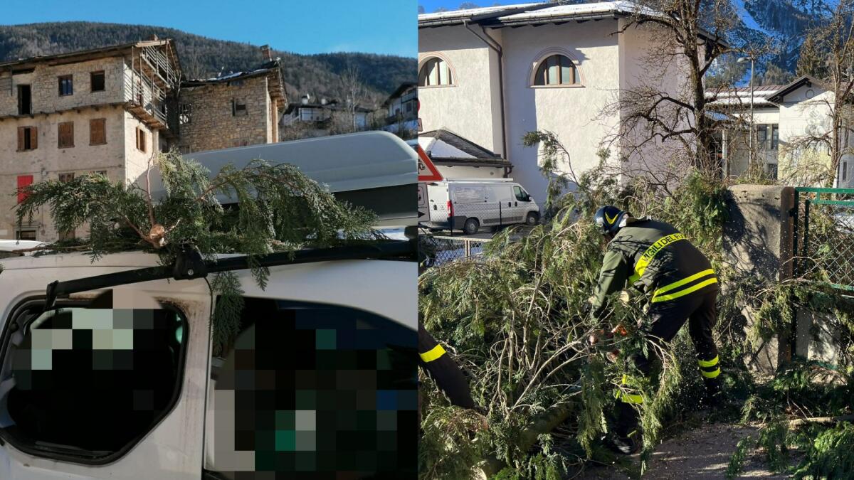 Forte vento, disagi a Forni di Sopra. Un ramo cade sull'auto con una famiglia a bordo - 