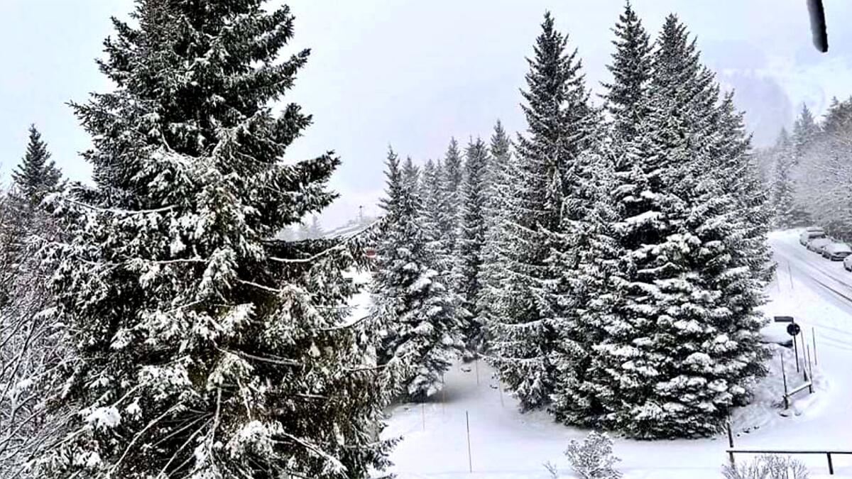 Neve nella notte a Piancavallo: la località si risveglia imbiancata - 