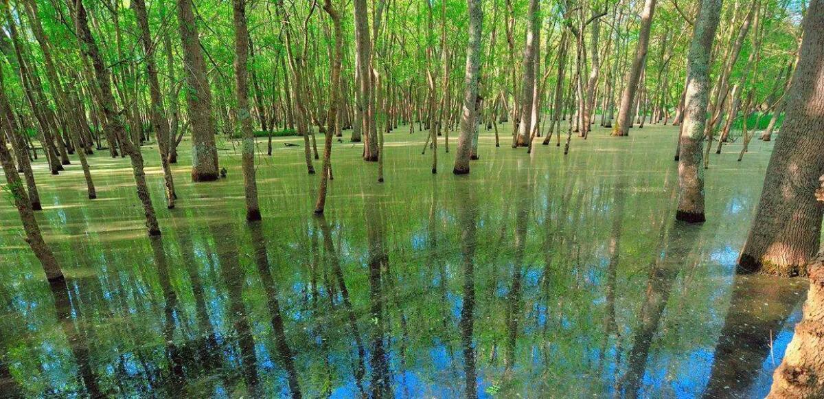 A Grado tutto l’anno un’immersione slow tra mare e natura - 